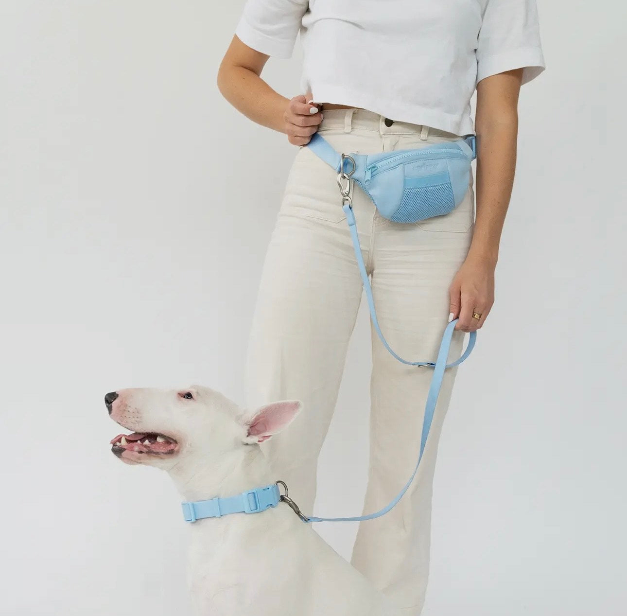 All-In-One Dog Walking Sling Bag and Leash