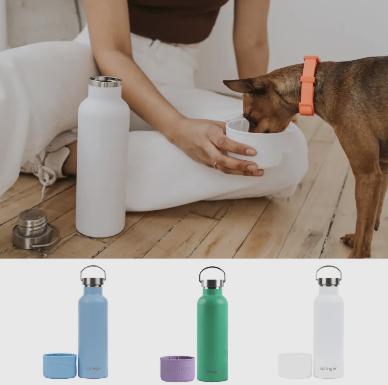 Dog & Me Insulated Water Bottle
