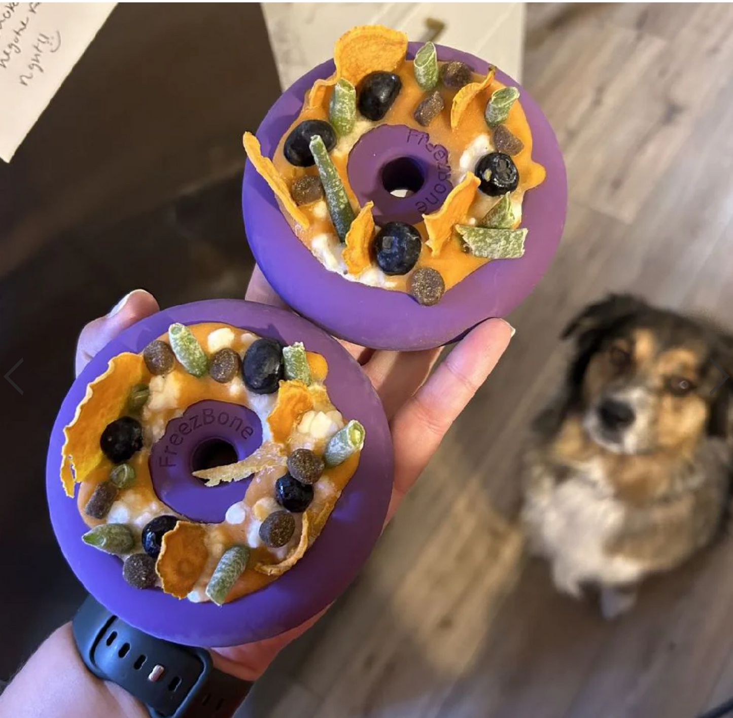 FreezDoughnut
