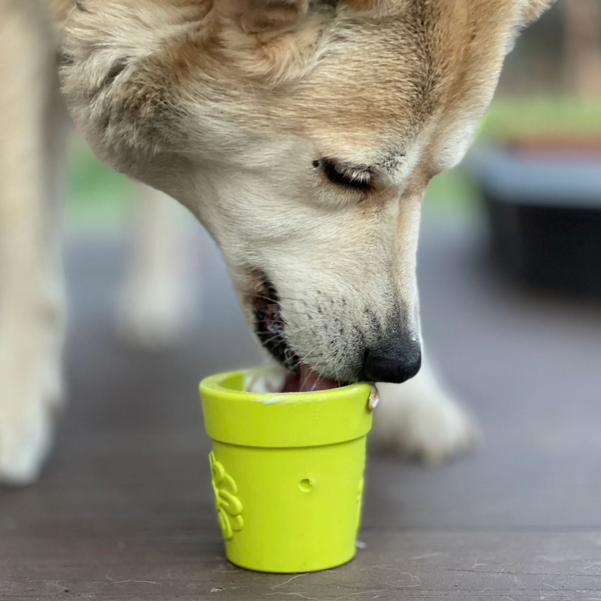 Soda Pup Flower Pot Rubber Treat Dispenser