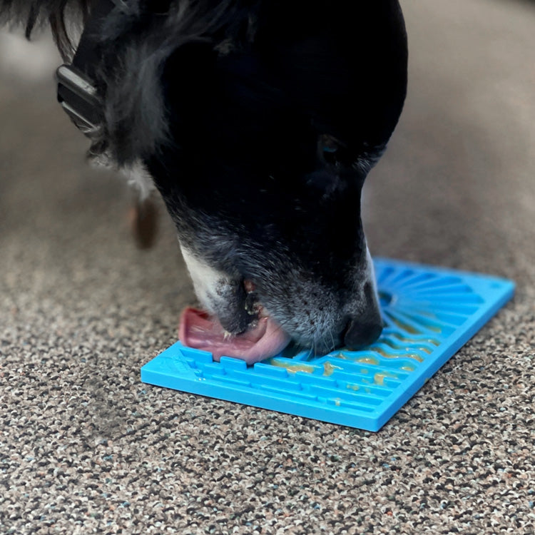 Soda Pup Surfs Up Lick Mat