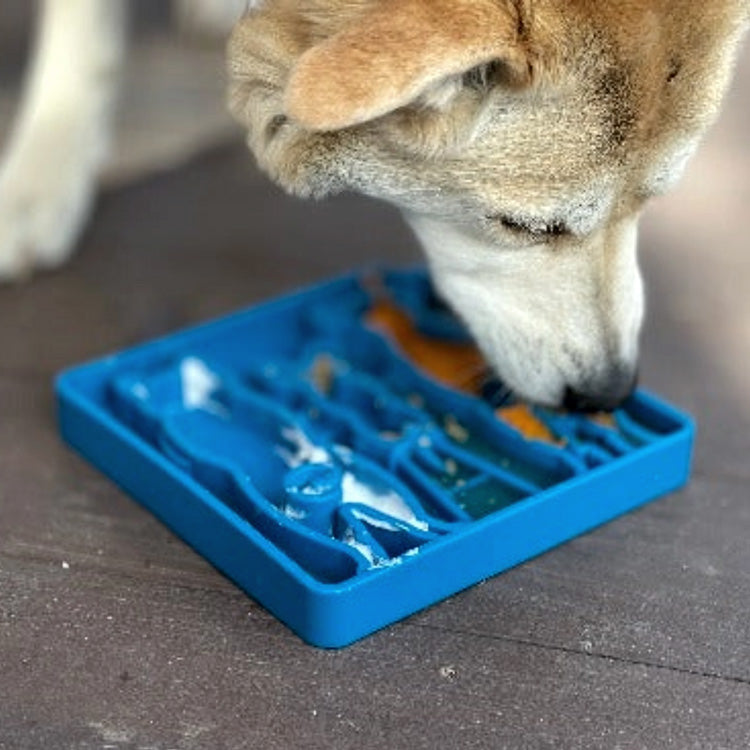 Soda Pup Waiting Dogs Enrichment Tray
