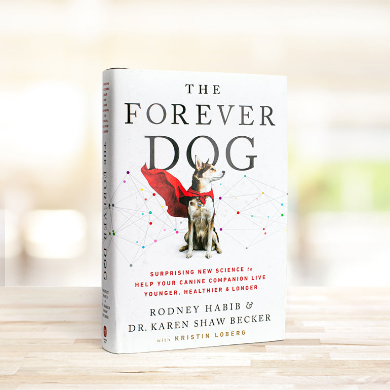 The Forever Dog Book