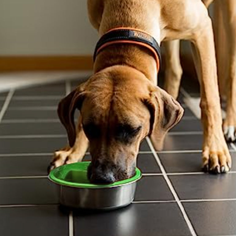 Mighty Paw Slow-Feed Dog Bowl