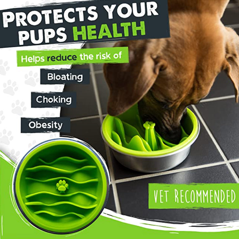 Mighty Paw Dog Slow-Feeder Bowl