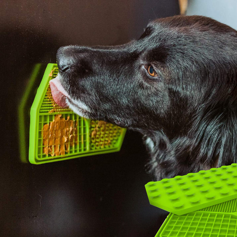 Mighty Paw Dog Lick Pad