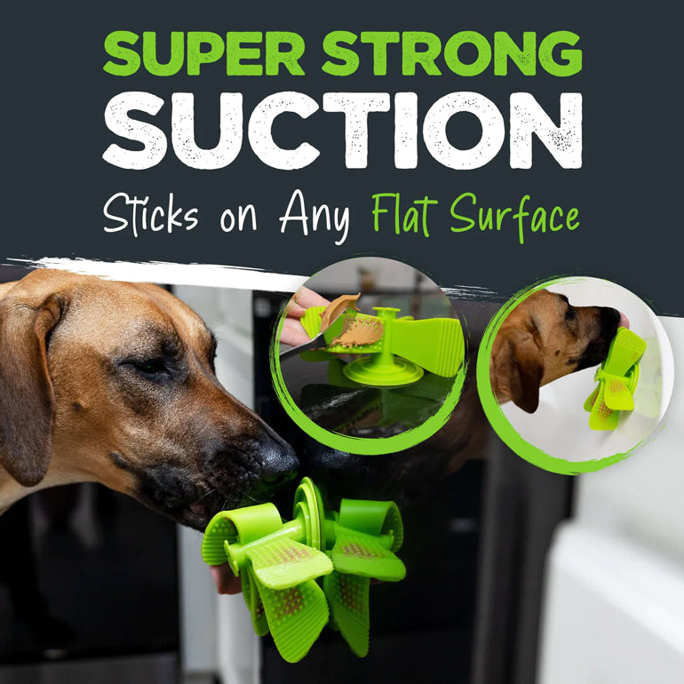 Slow Feed Insert for Dog Bowls