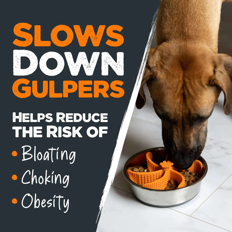 Slow Feed Insert for Dog Bowls
