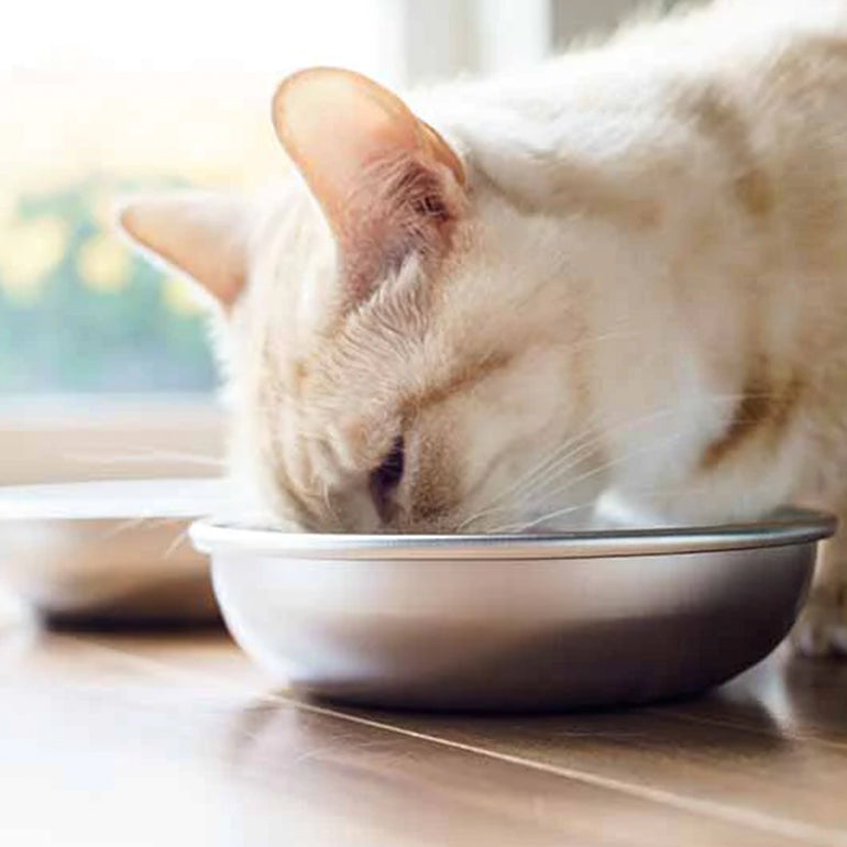 Americat_All Stainless Steel Cat Bowl