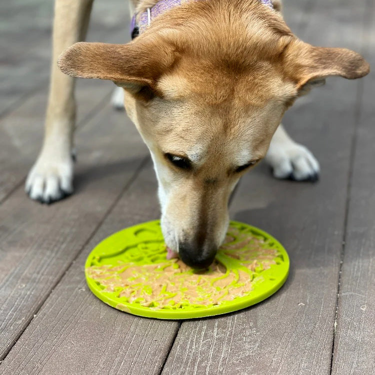 Soda Pup Tree of Life Lick Mat