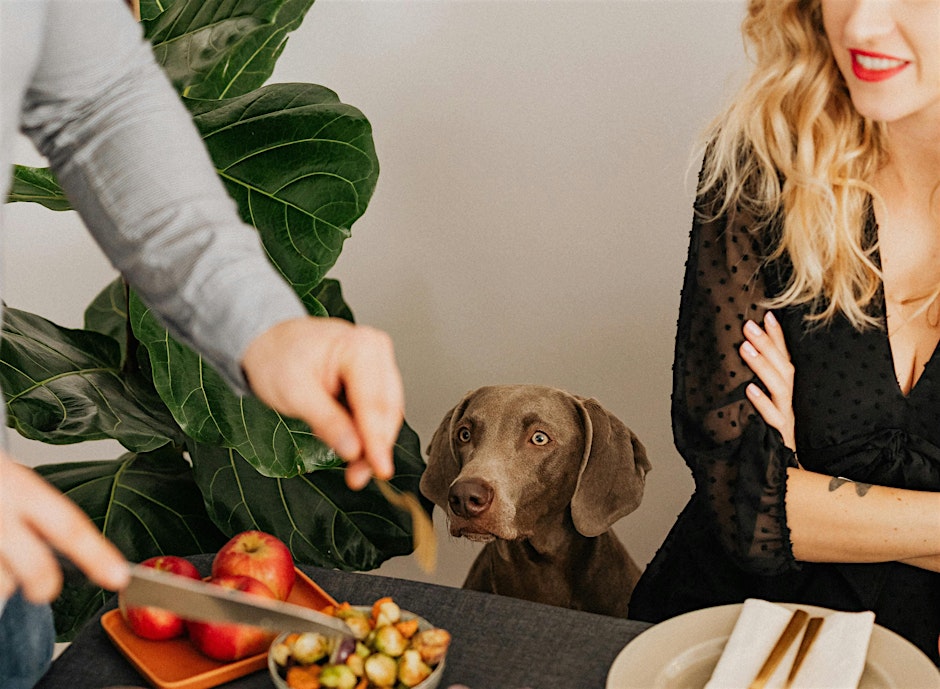 Pupsgiving Dinner at Paul's!