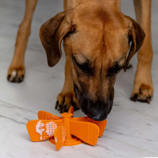 Mighty Paw Slow Feed Insert for Dog Bowls