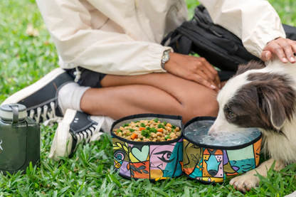 Superbowl Collapsible Travel Bowl
