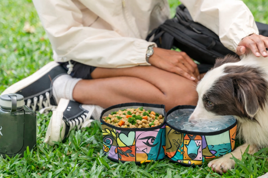 Superbowl Collapsible Travel Bowl