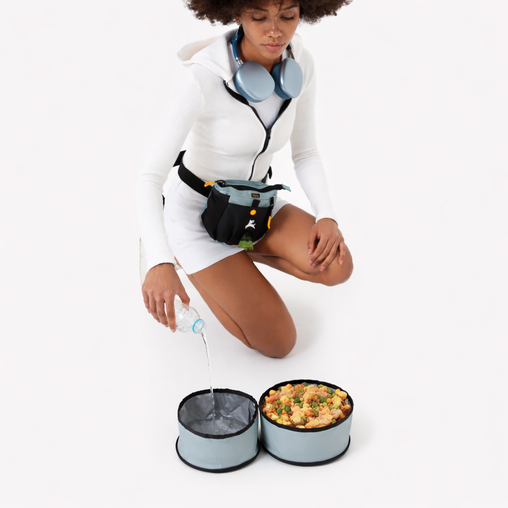 Superbowl Collapsible Travel Bowl