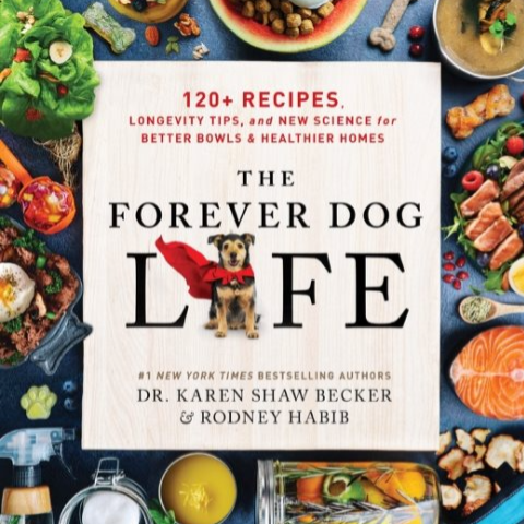 The Forever Dog Life
