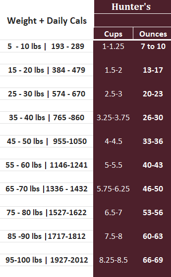 Hunter's Beef with Greens