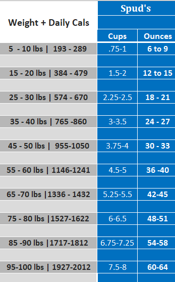 Spud's Beef with Veggies