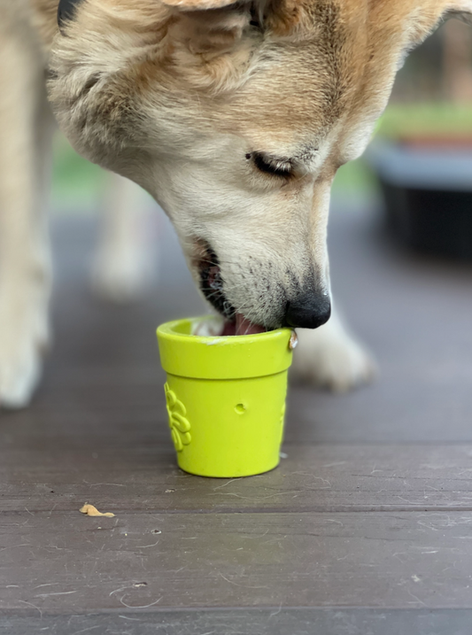 Soda Pup Flower Pot Rubber Treat Dispenser