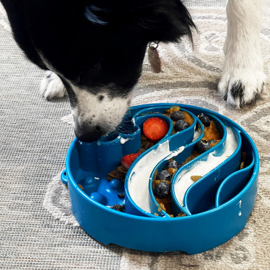 Soda Pup Wave Enrichment Bowl
