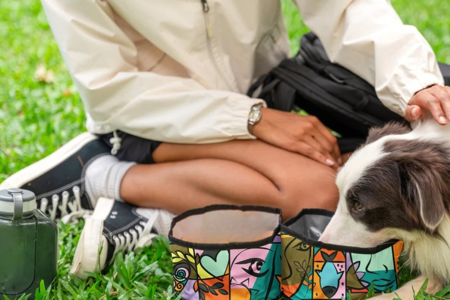 OllyDog Collapsible Travel Bowl