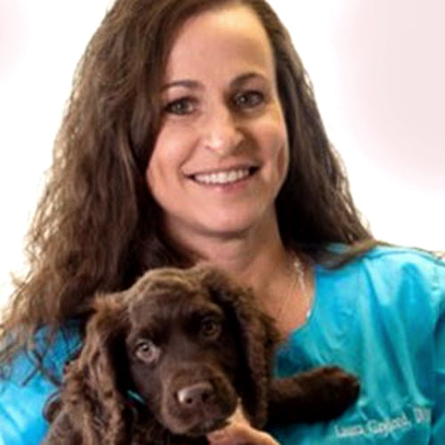 Therapeutic Diets Paul's Custom Pet Food Kitchen + Market