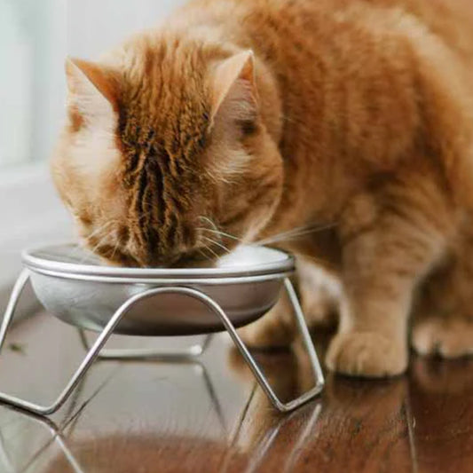All Stainless Steel Cat Bowl