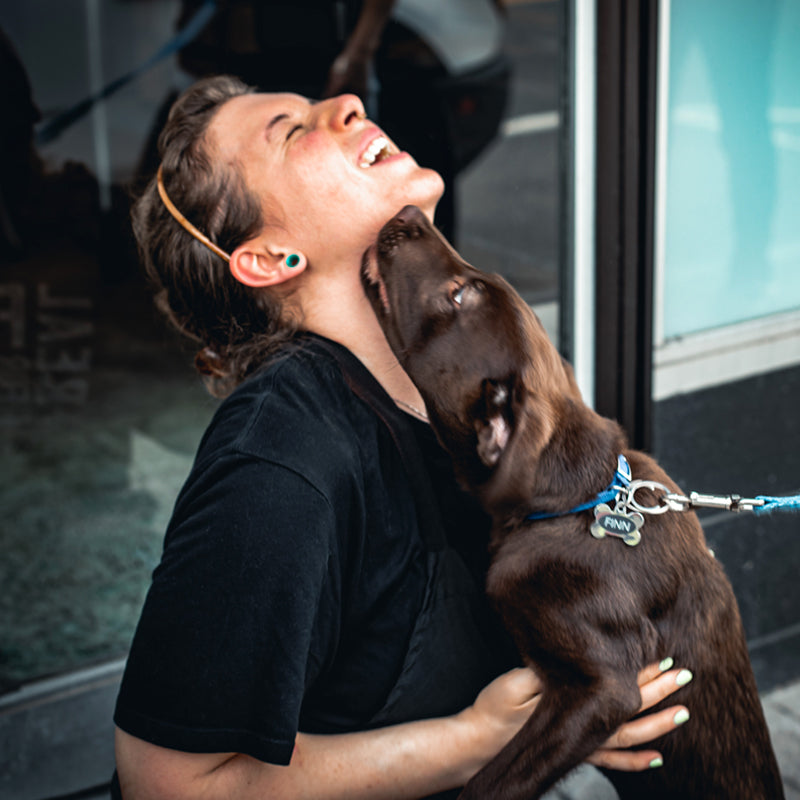 Find Us Paul's Custom Pet Food Kitchen + Market